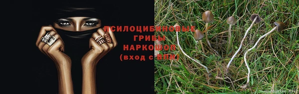 прущая мука Белокуриха