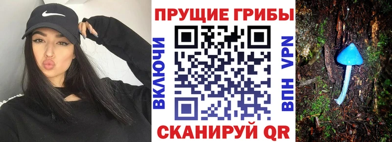 Купить  Энгельс  Галлюциногенные грибы мухоморы 